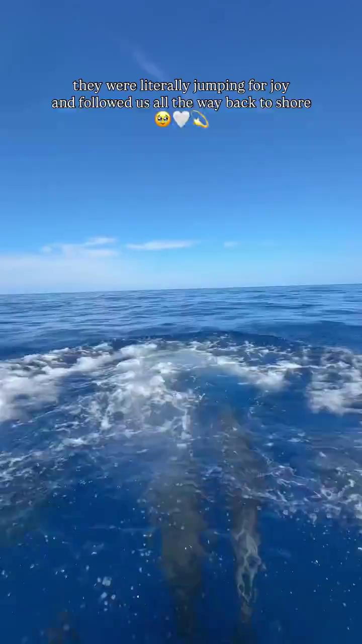 ������