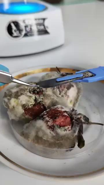 ������