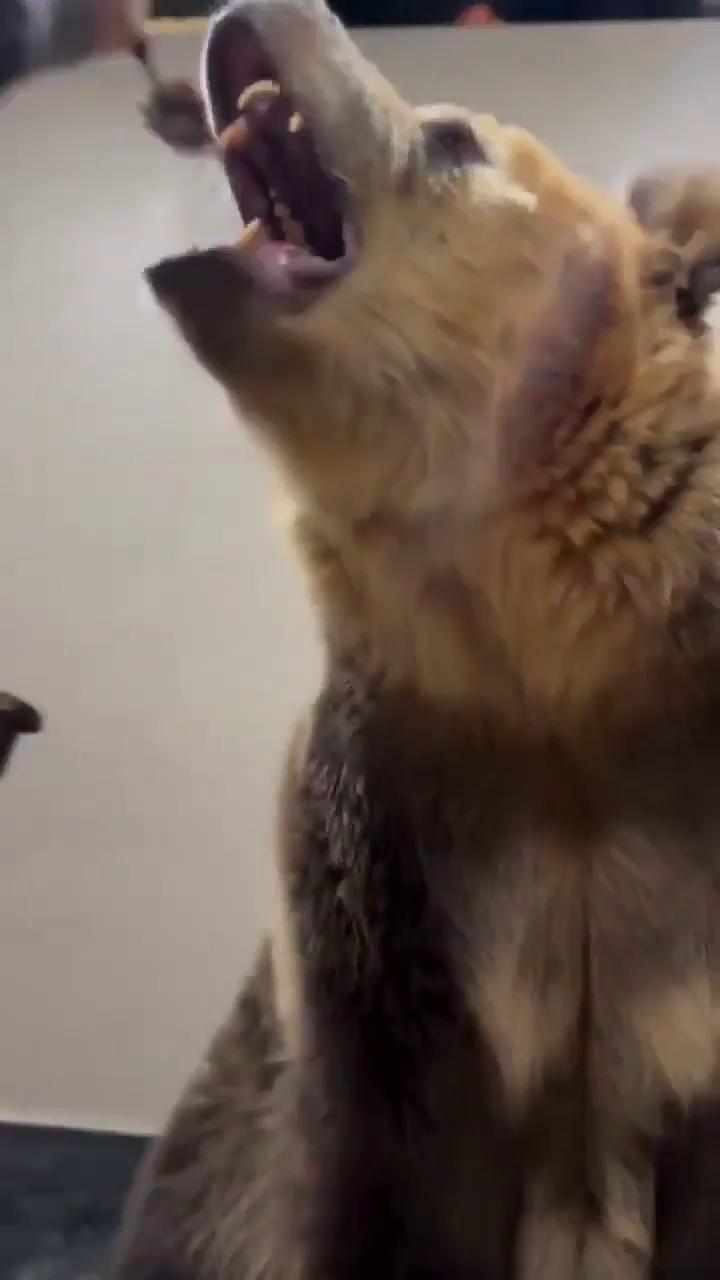 ������