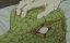 ���������� / Dorohedoro - 2 �����, 7 �����