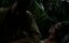   / The Last Bullet - 