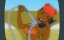   () / Drawn Together - 2 , 3 
