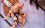 UFC 147 Silva vs Franklin II Preview