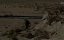  / The Wall -  