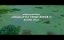   / Witchboard -  