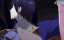  ,    / Shi Ye Mo Wang - 1 , 23 