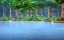 ������ � �����. ����� ����������� / Adventures of Akira and Mowgli - 1 �����, 5 �����