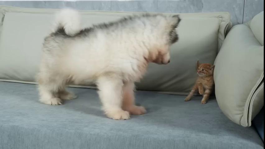 ������