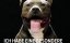    /    -    / Dogs & US The secret of our friendship / Hund und Mensch: Das Geheimnis einer Freundschaft - 