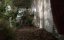    / Out of the Shadows - 