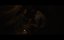  / Scurry - 