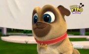 ������� ����� / Puppy Dog Pals - 4 �����, 15 ����� "���� �������� �������"