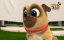 ������� ����� / Puppy Dog Pals - 4 �����, 15 ����� "���� �������� �������"
