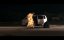  / Moondram Athigharam - 