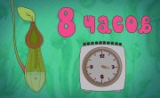 ,  - 7 , 18  "  -"