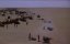   / Lion of the Desert - 
