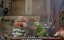 ������-��� / The Muppet Show - 5 �����, 21 �����