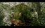 ���� �������� �����, ������ ������ ������ / Where Do Cats Go After 9 Lives? / Où vont les chats après 9 vies? - �������