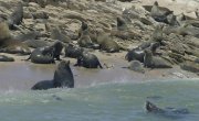 ����������� ��������� ������ / Africa's UnderWater Wonders - 1 �����, 2 �����