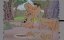 ������� ������� / Merrie Melodies & Looney Tunes - 93 ����� "�������� �����"