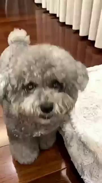 ������