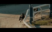 ������������ / MobLand - 2 �����, 1 �����