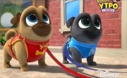 ������� ����� / Puppy Dog Pals - 3 �����, 18 ����� "�� ������ � ������ ������"