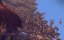   / Treasure Planet - 