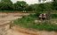     / Attenborough and the Mammoth Graveyar - 