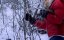  / The Frozen - 