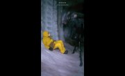 �������� (�� ������) - 37 ����� "����� �������� �014, ����� 4."