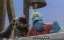 ������-��� / The Muppet Show - 5 �����, 9 �����
