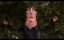 ,  / Moi, Barnabé / I, Barnabe - 