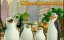  :   / The Penguins of Madagascar: Operation DVD Premiere - 