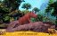   / Riki Rhino - -