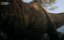 :    / T.Rex: Ultimate Survivor - 