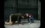 Placebo � Song To Say Goodbye