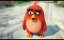 Angry Birds   / The Angry Birds Movie -     