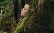    / A Girl Named Willow - 