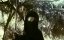 ��� ������ / 3 Ninjas - �������