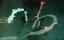 � ������ ����� ������� / Devil May Cry - 2 �����, 7 �����