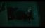   / Let Us In - 