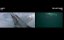  / Sharksploitation - 