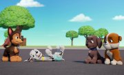 ������� ������� / PAW Patrol - 12 �����, 10 �����