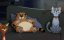 ������� ���� / Ricky Gervais Alley Cats - 1 �����, 2 �����