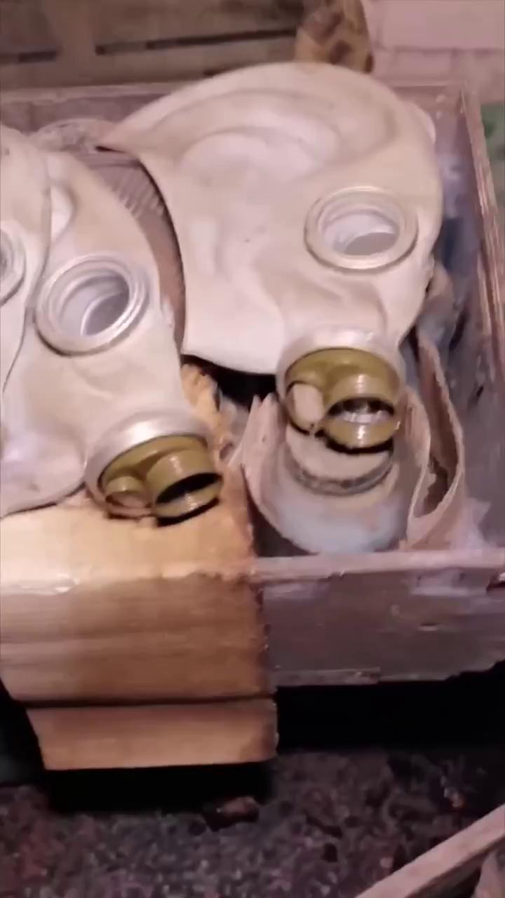 ������