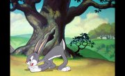 ������� ������� / Merrie Melodies & Looney Tunes - 7 �����