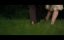  / Twilight Storytellers: Masque - 