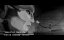   / Immortal Machine - -