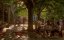 ���� �������� ��������� /  Vicky Cristina Barcelona - �����